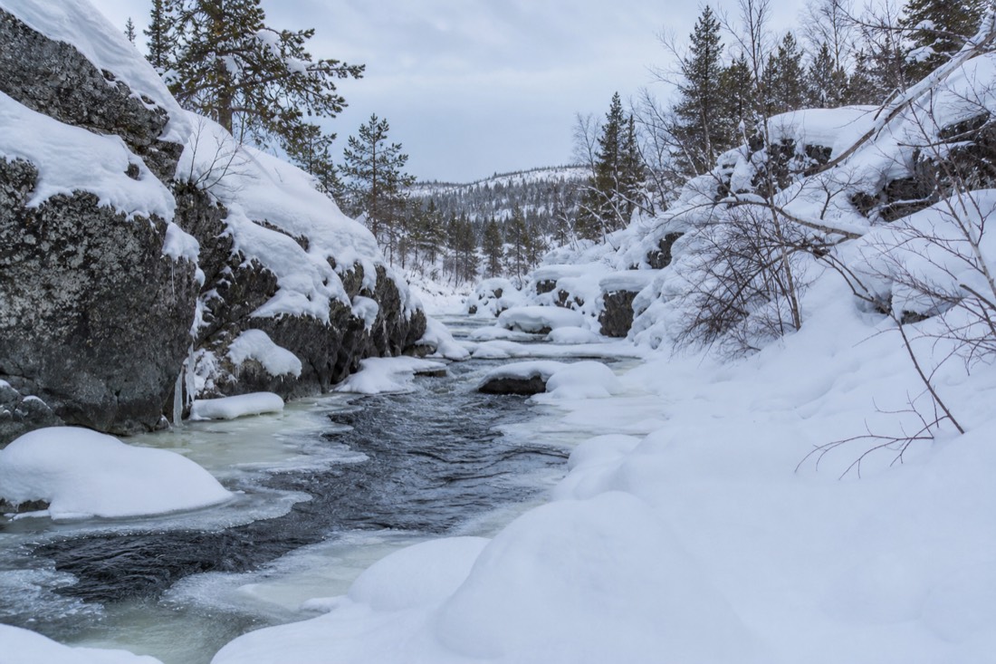 Snow-covered Finnish Lapland landscape in natural winter light