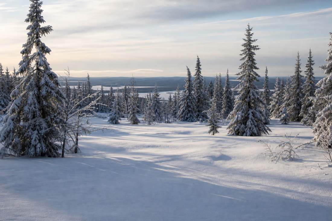 Snow-covered Finnish Lapland landscape in natural winter light