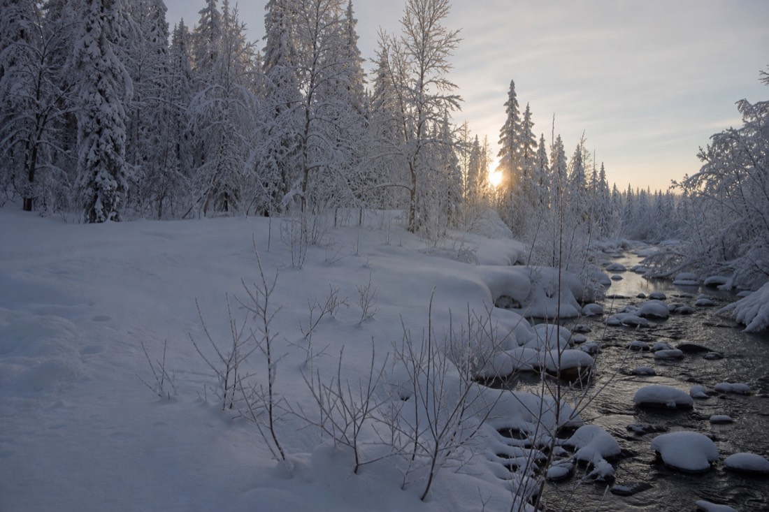 Snow-covered Finnish Lapland landscape in natural winter light