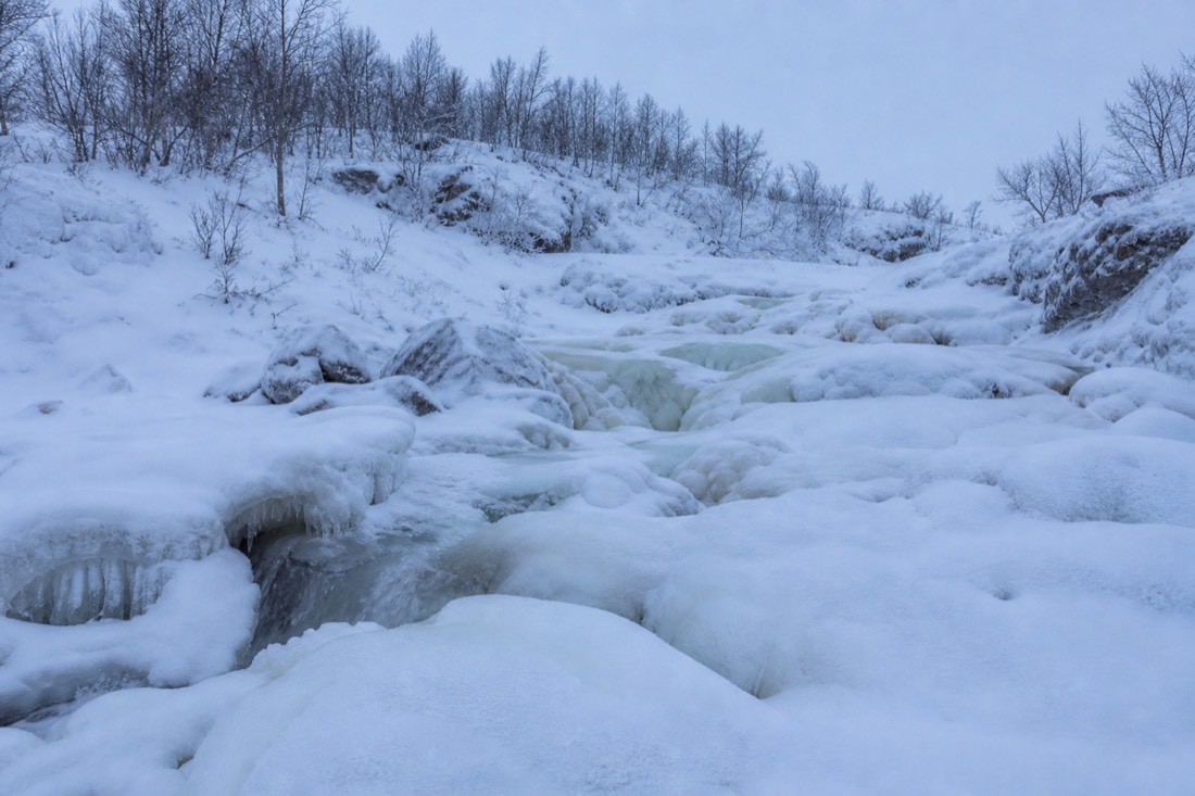 Snow-covered Finnish Lapland landscape in natural winter light