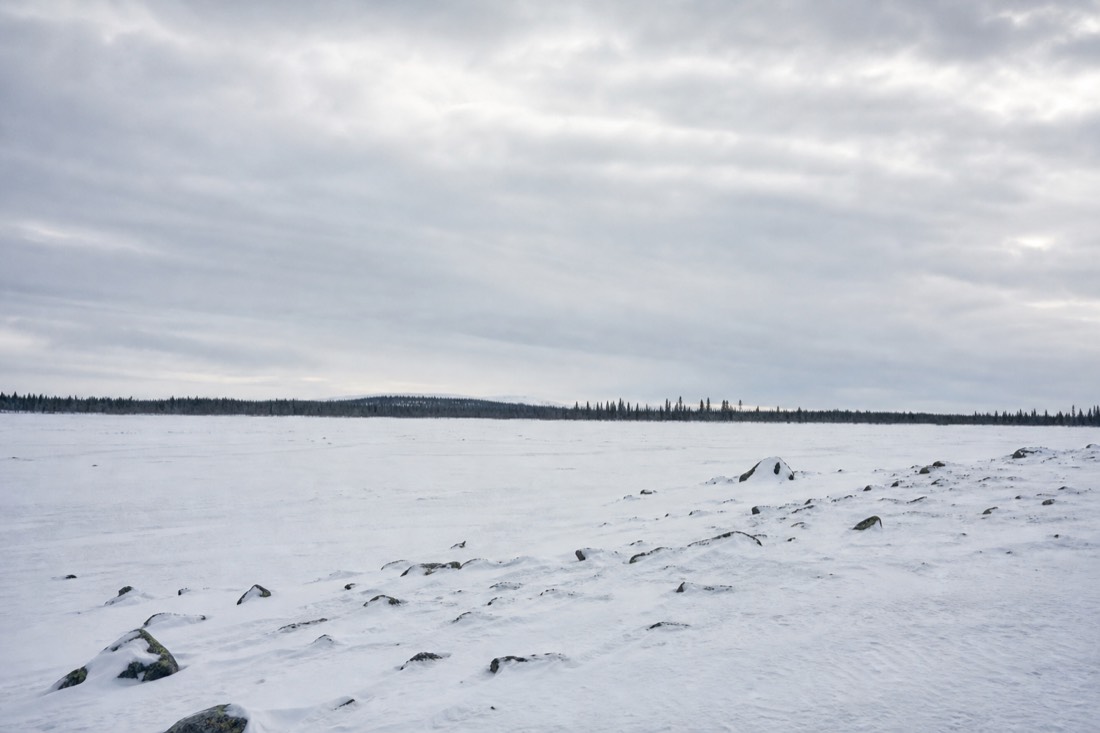 A wide open Lapland snowfield under heavy cloud, distant treeline