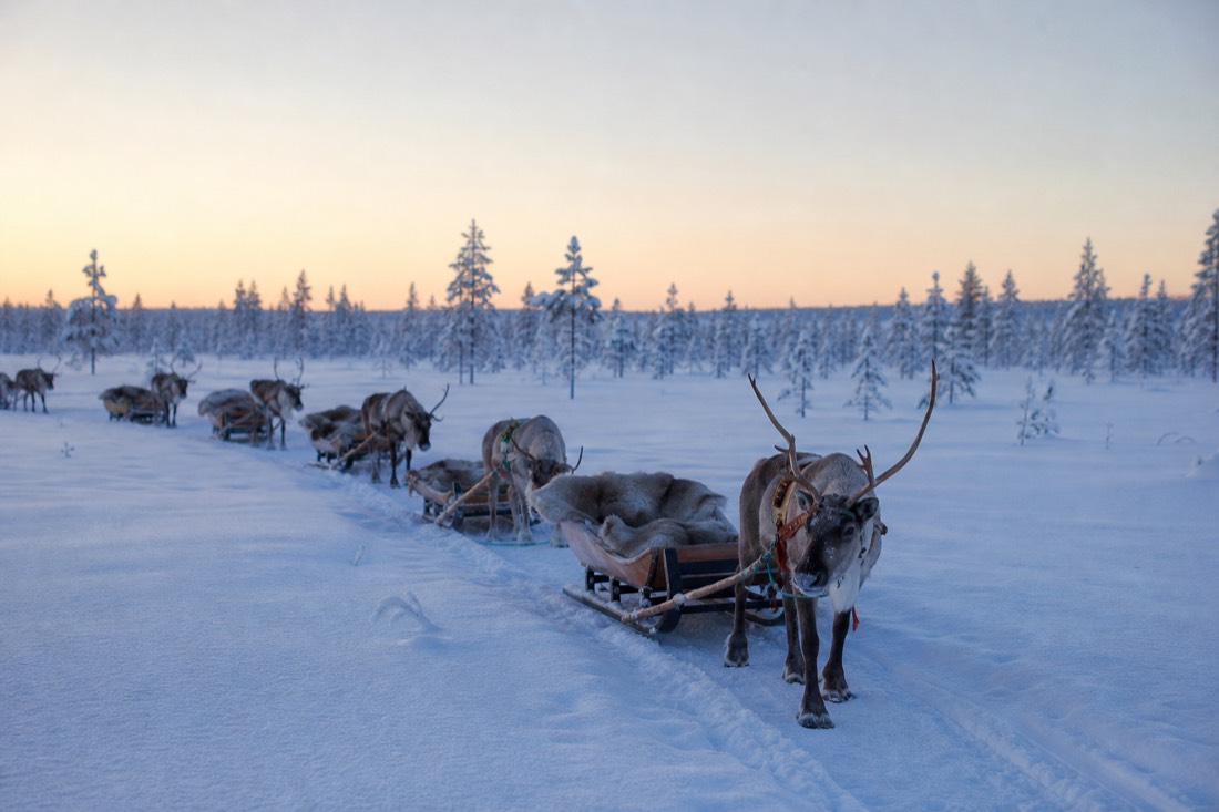 Snow-covered Finnish Lapland landscape in natural winter light