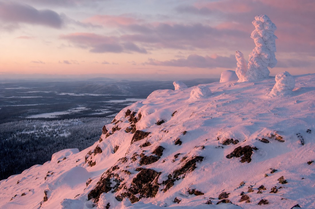 A Lapland fell top above the treeline in pink afternoon light, wind-carved snow