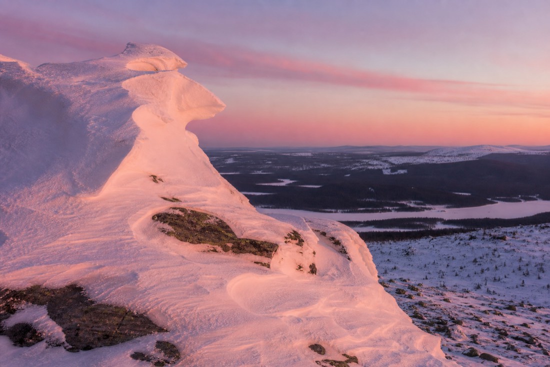 A Lapland fell top above the treeline in pink afternoon light, wind-carved snow