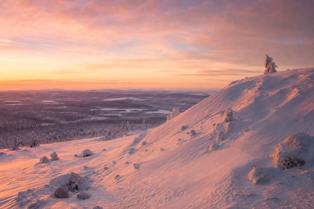 A Lapland fell top above the treeline in pink afternoon light, wind-carved snow