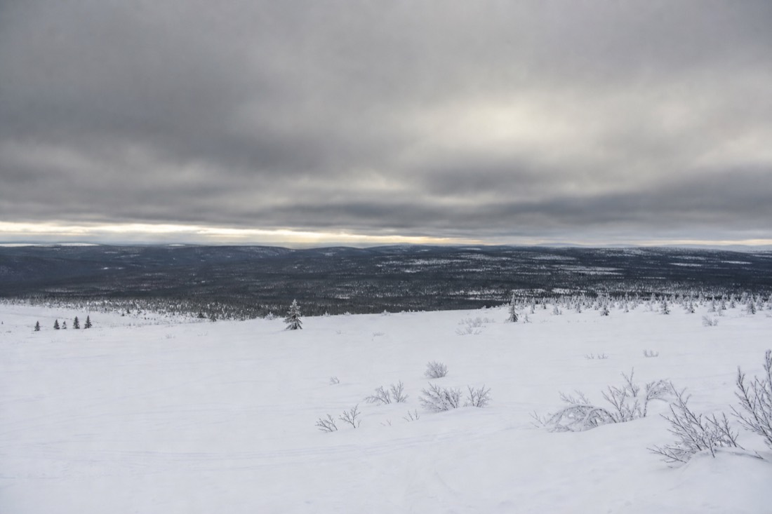 A wide open Lapland snowfield under heavy cloud, distant treeline
