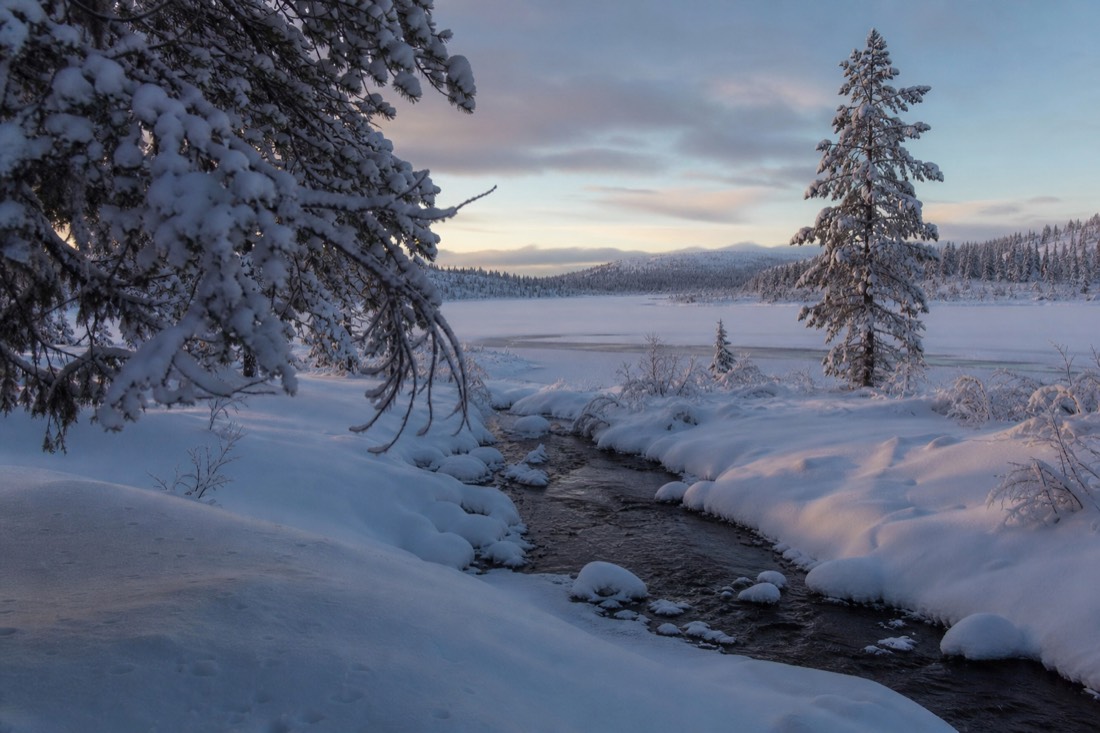 Snow-covered Finnish Lapland landscape in natural winter light